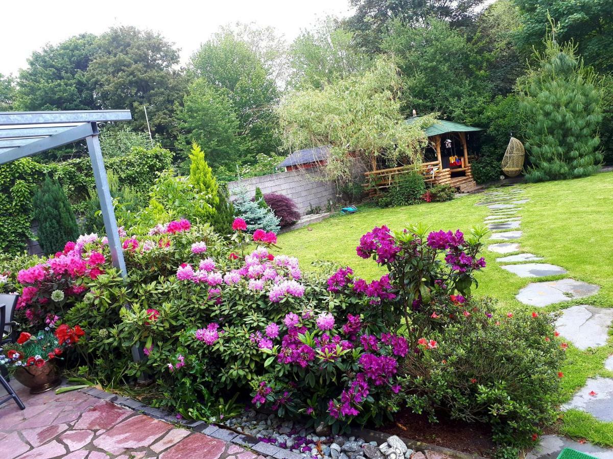 Villa-Seerose Koln Bagian luar foto